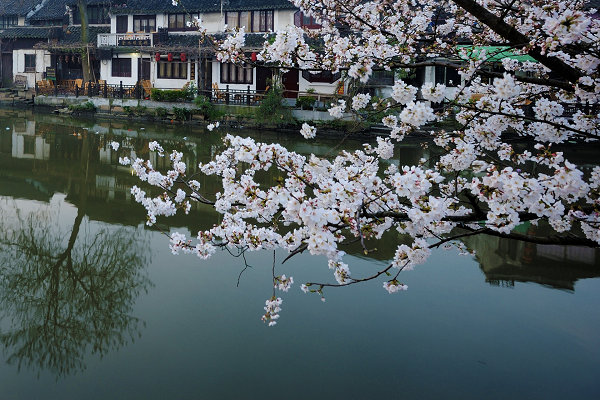 4月全国最美的10个地方