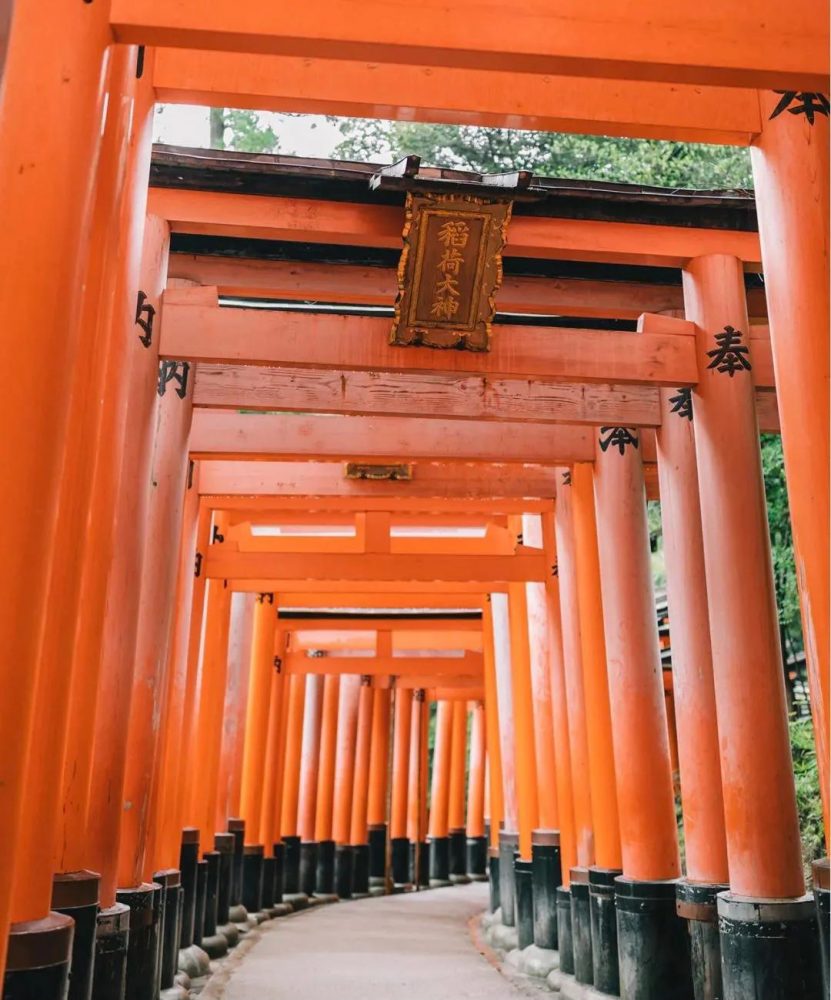 去日本遇见京都——叹那止不住的春色