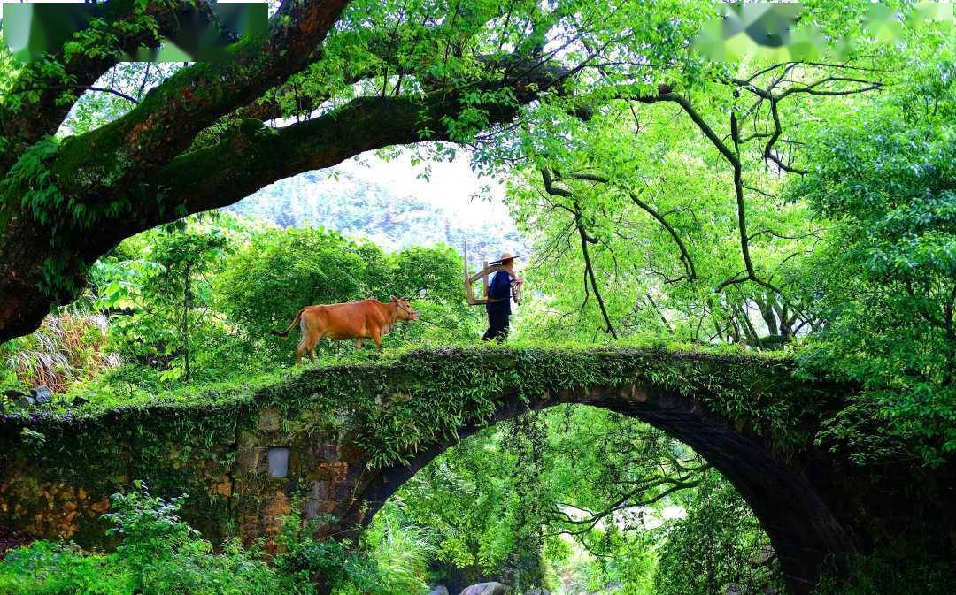 江西遂川：“一村一景”助推乡村振兴