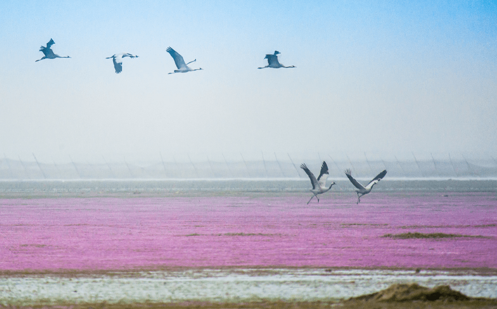 鄱阳湖