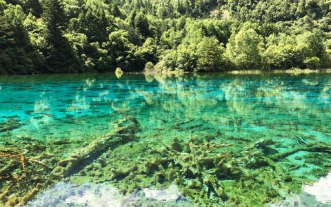 洛阳奇岭牡丹园：赏花之旅与文化探索的完美结合