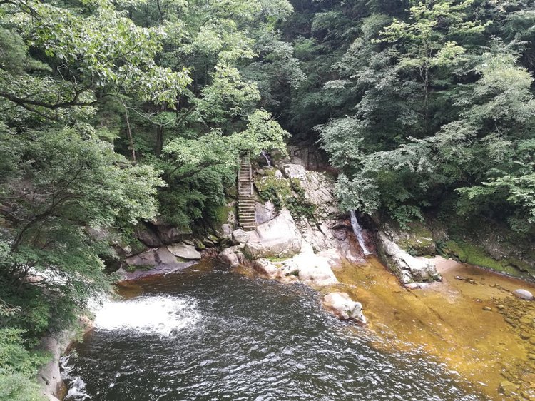 源泉自然风景区：山东的绿色宝石，淄博的生态瑰宝