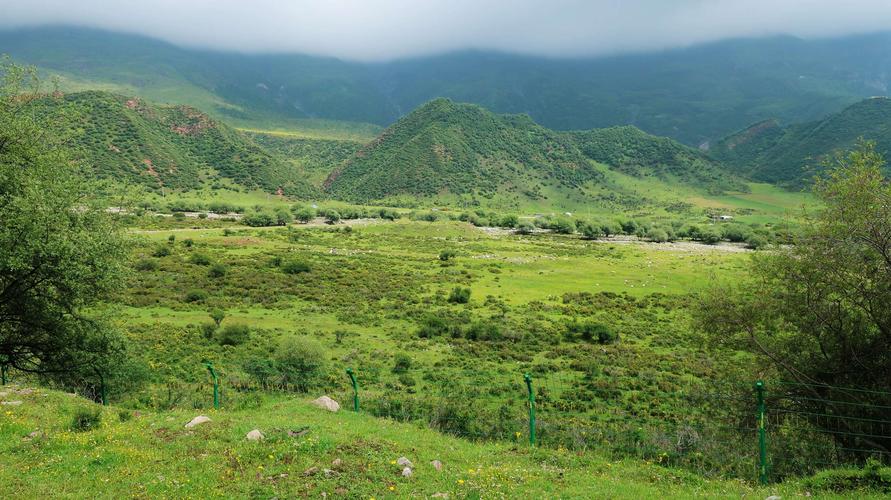 高原明珠：莲花湖景区与群加国家森林公园的美景之旅