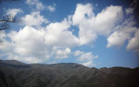 探索日本传统文化：大阪的鼻川神社之旅