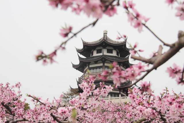 大佛岩：桃花岛的标志，海上盆景园的奇观