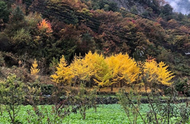 老君沟：孟屯河谷的自然奇观