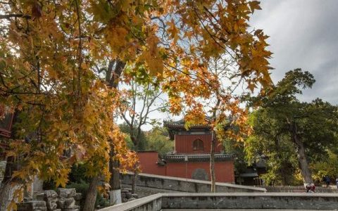 探寻日本最古老佛教寺院——圆通寺：探访日本的文化瑰宝与宁静避风港