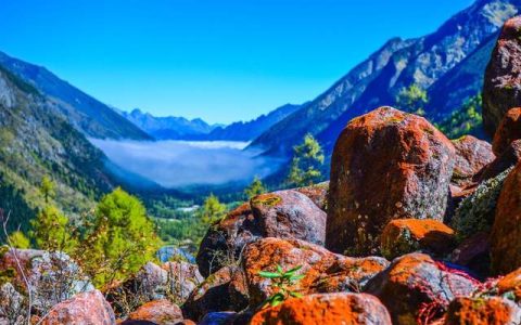 龙池曼国家自然保护区：一处珍稀生物与美丽风景的天堂