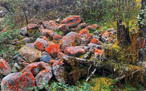 佛山丰收街广场：一座集历史、文化和现代于一体的旅游胜地