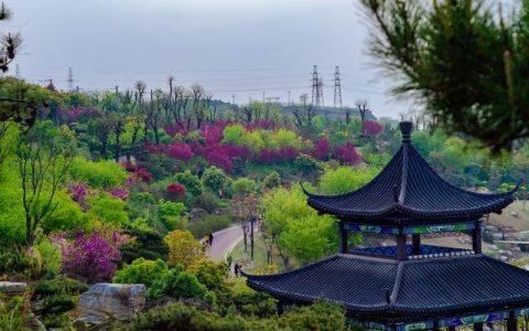 探秘龙门峡谷：衢州城南的自然奇观与探险天堂