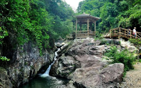 穿越时空的见证：世大夫祠——一座承载历史与文化记忆的古建筑群