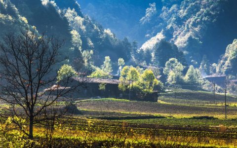 探索江苏东海岸：南通的自然美、文化和美食之旅