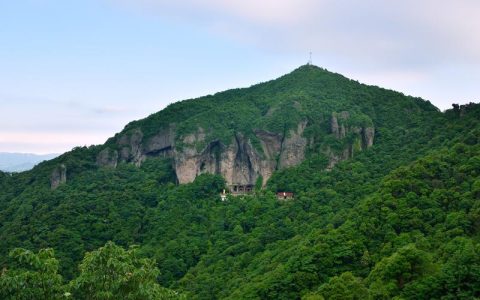 《走进秦皇岛野生动物园，探索自然奥秘》