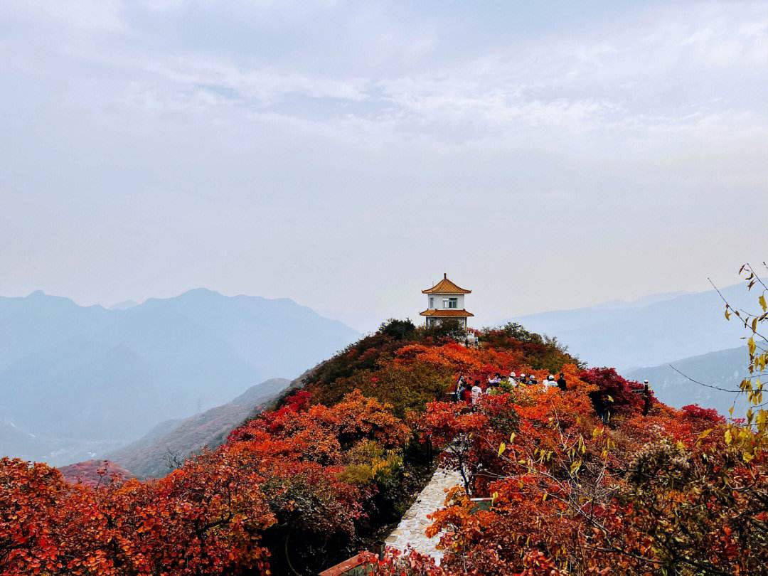 药王谷：探寻古药王的奥秘，体验自然之韵