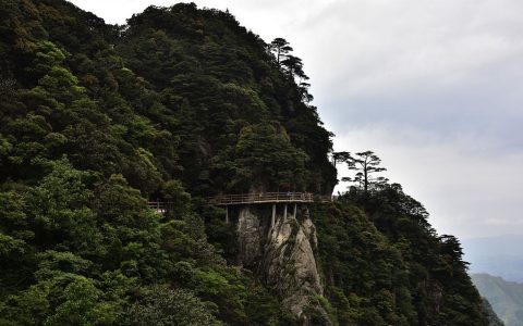 佛山友好艺术馆：一座充满艺术气息的文化宝库