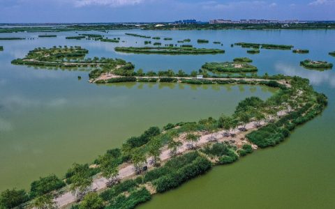 阅海国家湿地公园：自然的瑰宝，城市的绿肺