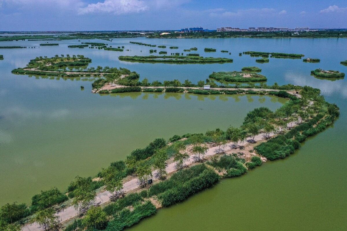 阅海国家湿地公园：自然的瑰宝，城市的绿肺