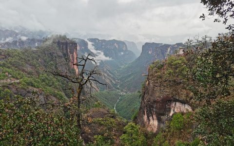 山海关路：一条承载青岛历史的记忆与现代生活的艺术画卷