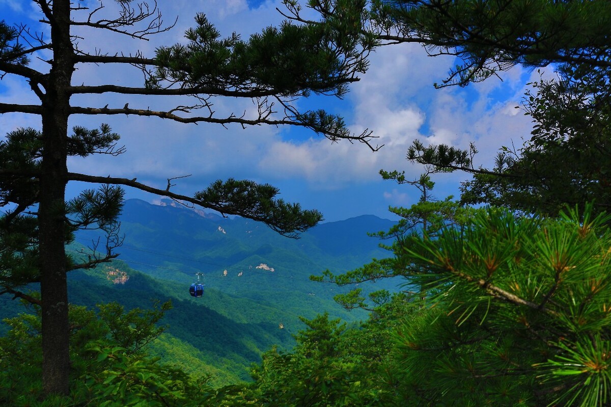 嵩县白云山：中原之巅的自然与人文交融之旅