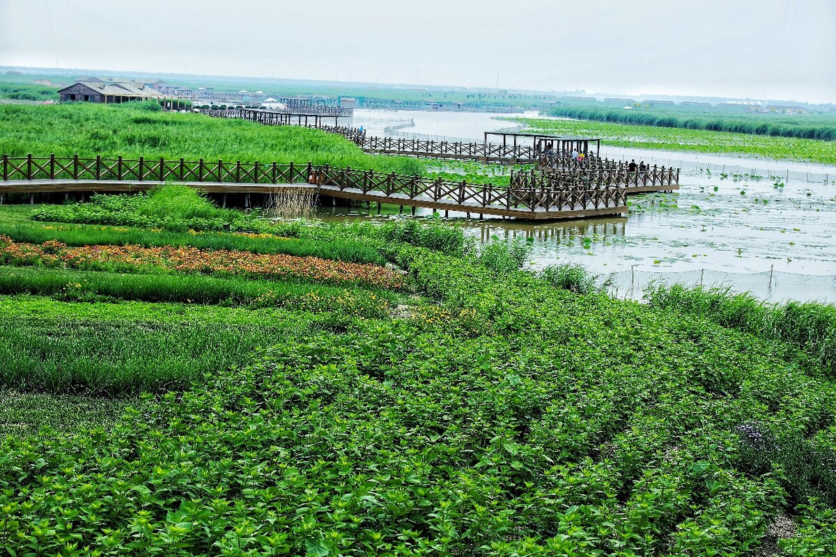 七里海国家湿地公园：自然与历史的交织