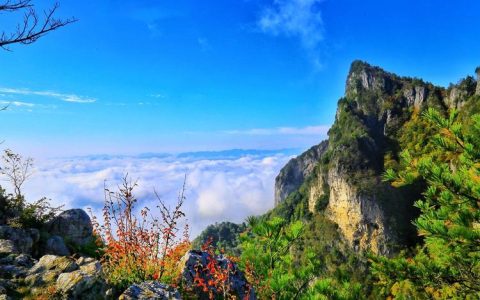 山阳天竺山森林公园：自然与人文的和谐交响