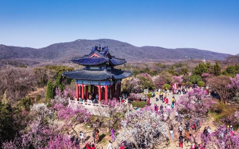 南京梅花山：香雪海的文化之旅