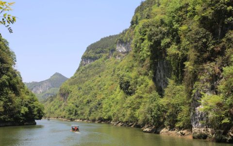 探索日本历史与文化：清寿院的世界文化遗产之旅