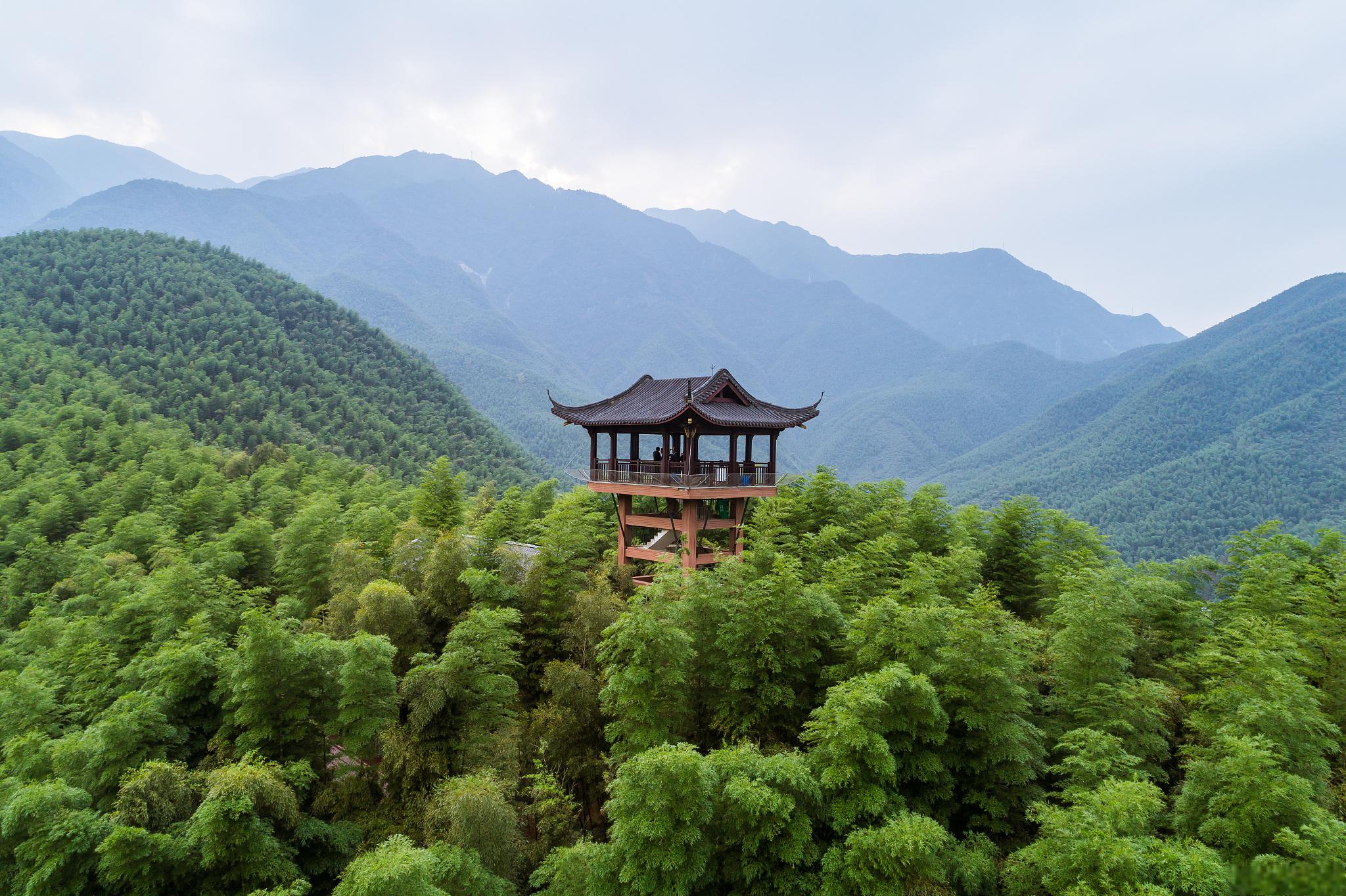 东天目山：飞瀑与诗意的自然交响