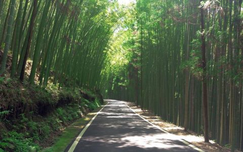 高雄的宝藏之光：探索‘沙多宫五府千岁’，探索这座历史遗迹的魅力