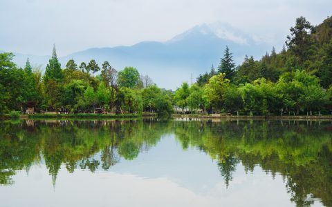 龙华寺观音殿：太原的佛教圣殿，探索心灵深处的宁静与和谐