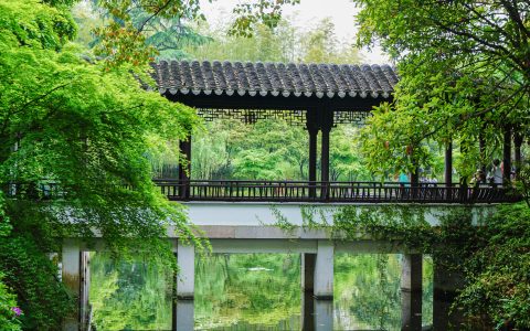 水映荷花香满园：成都荷风水村带你领略自然与艺术的完美融合