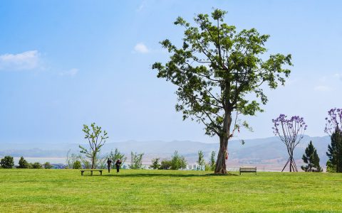 历史遗迹重现辉煌：沈阳的苏联领事馆主楼旧址重焕生机