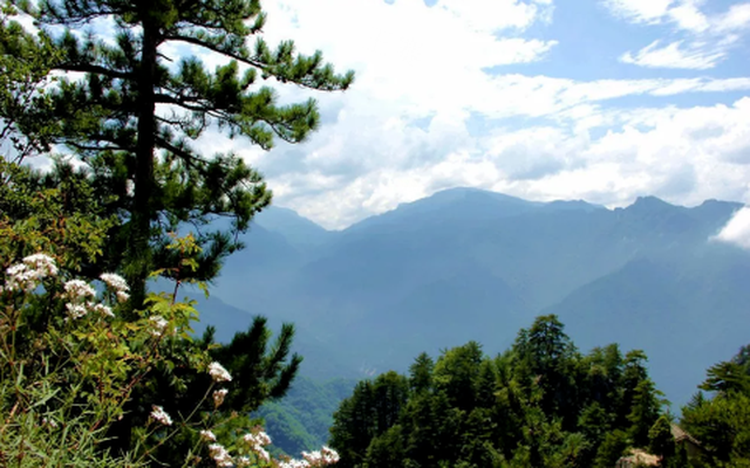 万华山朝阳景区：绚丽森林中的大自然风光园