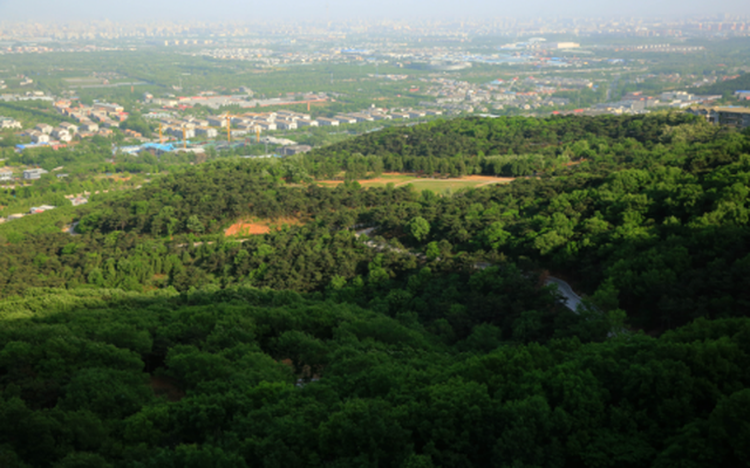 西山森林公园：县城边的自然绿洲与休闲胜地